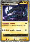 rayquaza sombre