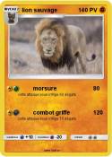 lion sauvage