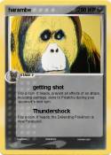harambe