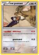 chat gourmant