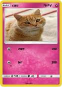 cato