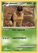berger allemand