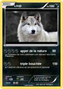 Loup