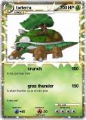 torterra