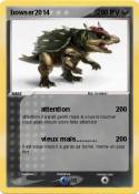 bowser2014