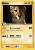 Cheetah