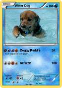 Water Dog