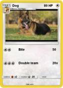 Dog
