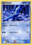 aqua dragon