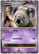 koalabear