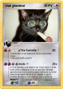 chat glandeur 