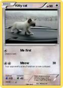 Kitty cat