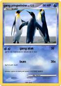 gang pingwinów