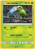 mini cotorras