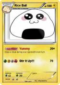 Rice Ball