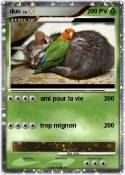 duo