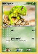 bebe Iguana