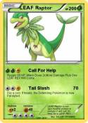 LEAF Raptor