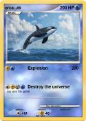 orca