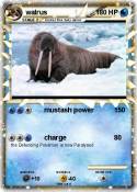 walrus