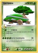 TORTERRA 111