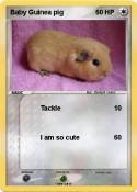 Baby Guinea pig