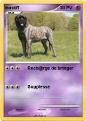 mastiff