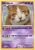 soft kitty