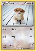 Puppy