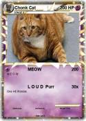 Chonk Cat