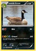 Canada Goose