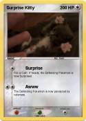 Surprise Kitty