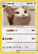pop cat