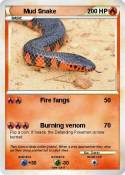 Mud Snake