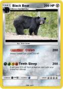 Black Bear