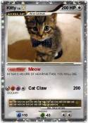 Kitty
