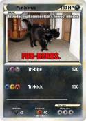 Fur-berus