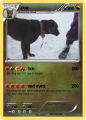 dog