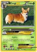 Corgi