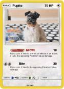 Pupito