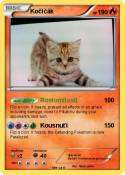 Kočičák