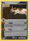 Dog