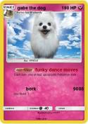 gabe the dog