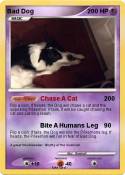 Bad Dog