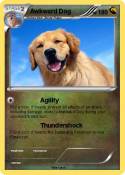 Awkward Dog