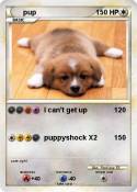 pup