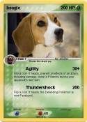 beagle