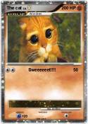 The cat