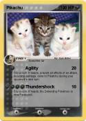 Cats