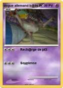 dogue allemand